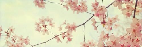 93Estef's profile banner image