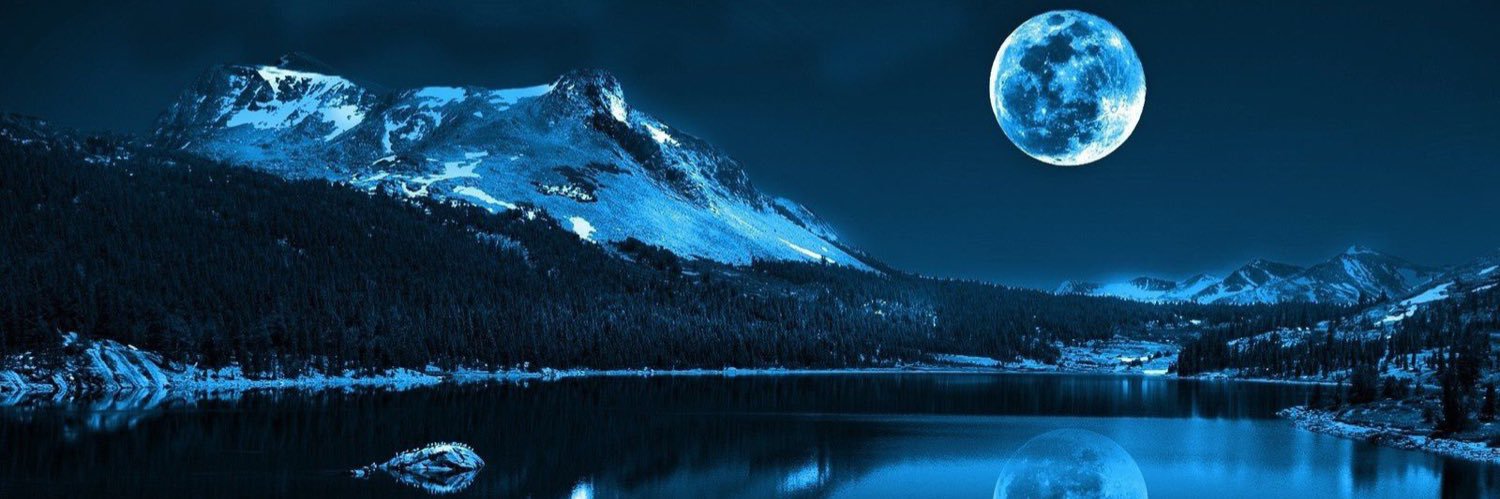 Nico_LMeyer's profile banner image