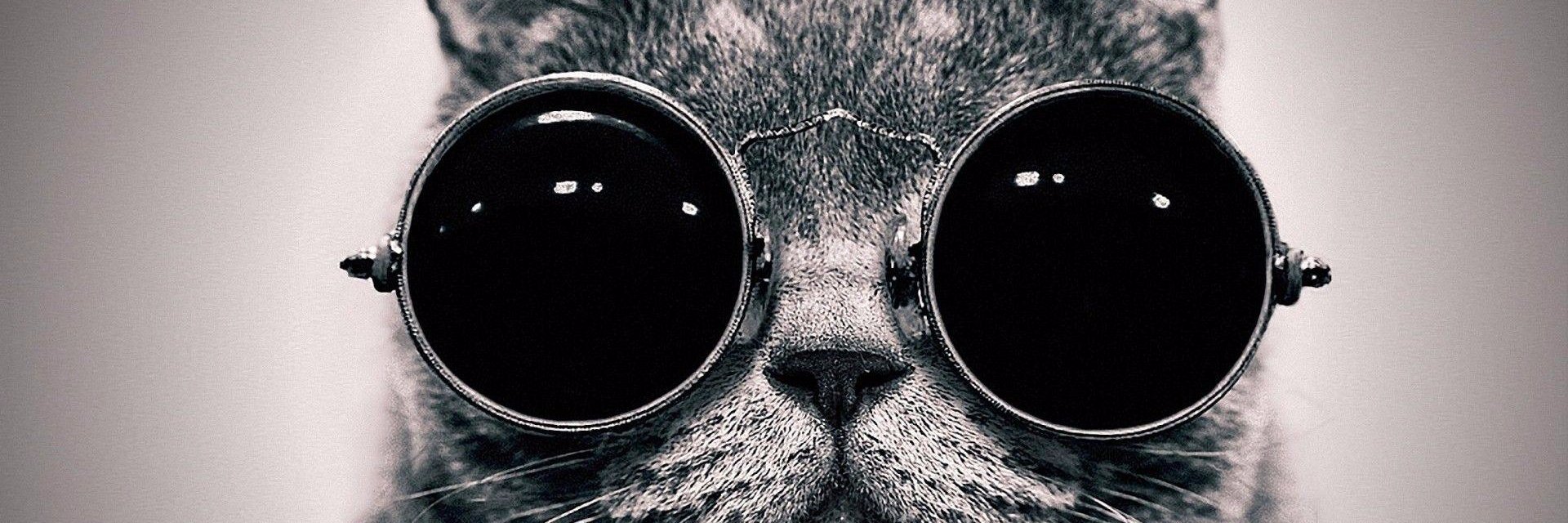 curious1kat's profile banner image