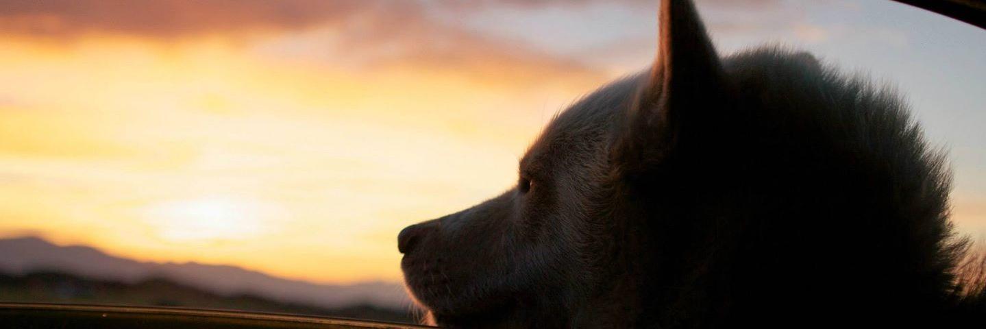 hlaramer's profile banner image