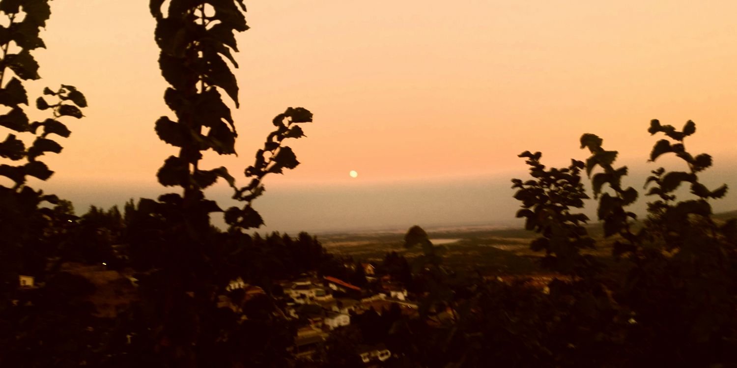Josema125's profile banner image
