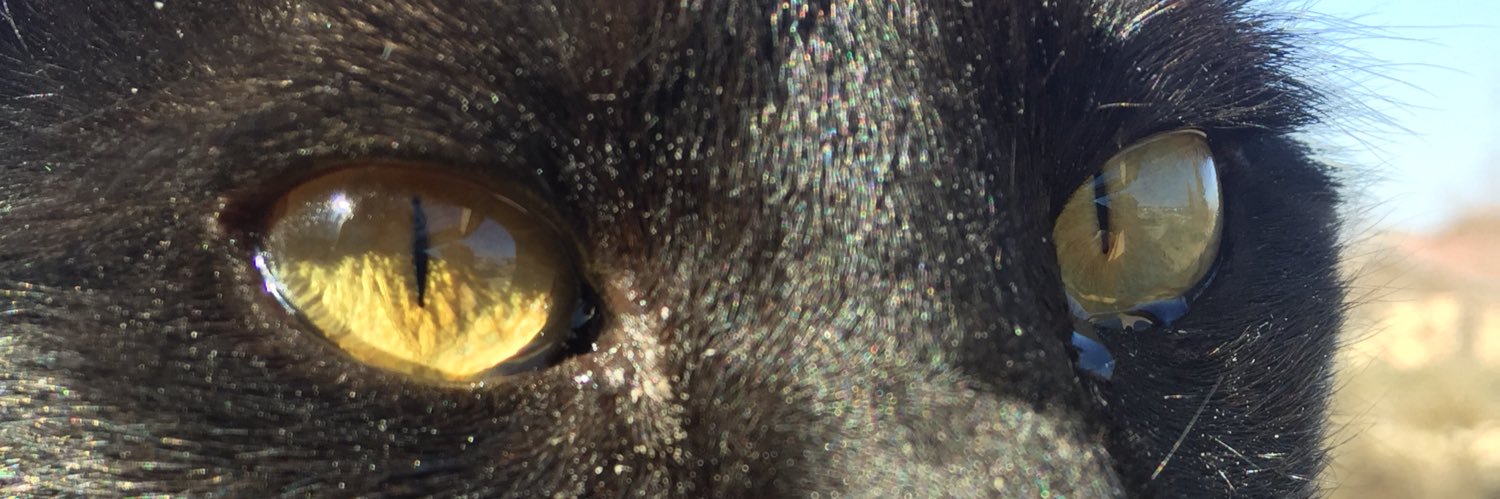 MrNevlo's profile banner image