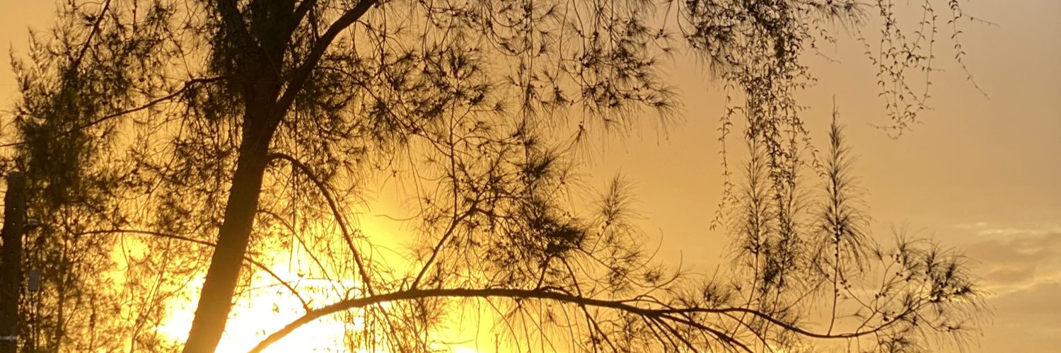 juliaagribeiro's profile banner image