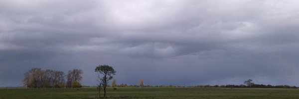 helgol Profile Banner