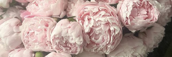 kurdIstanStrong Profile Banner