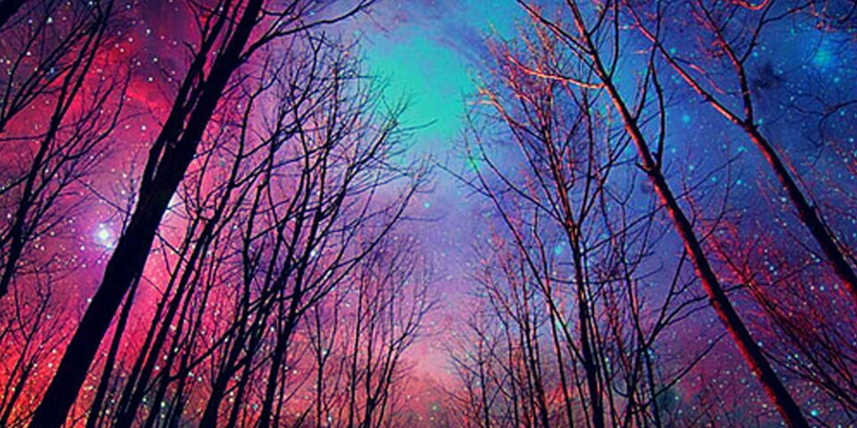 Tyncho_O_o's profile banner image