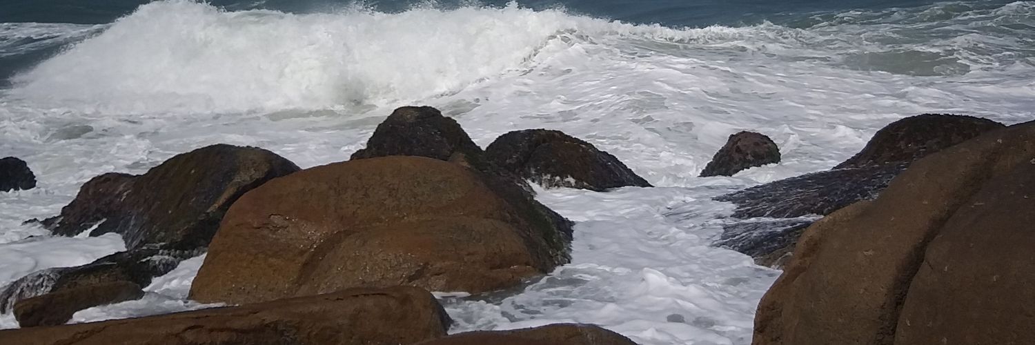 CleoniMartins's profile banner image