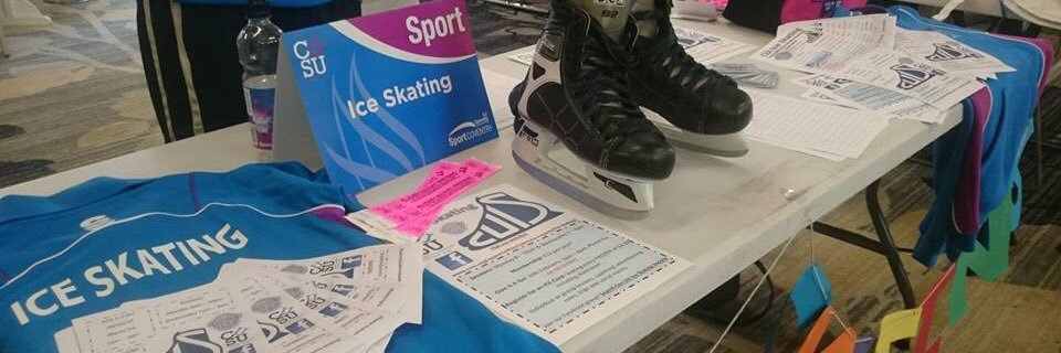 CUiceskating's profile banner image