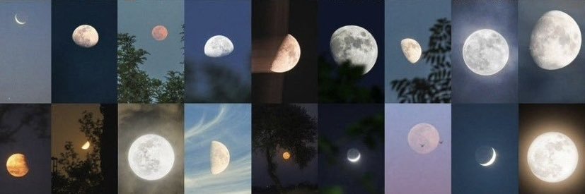 eceeshn14's profile banner image