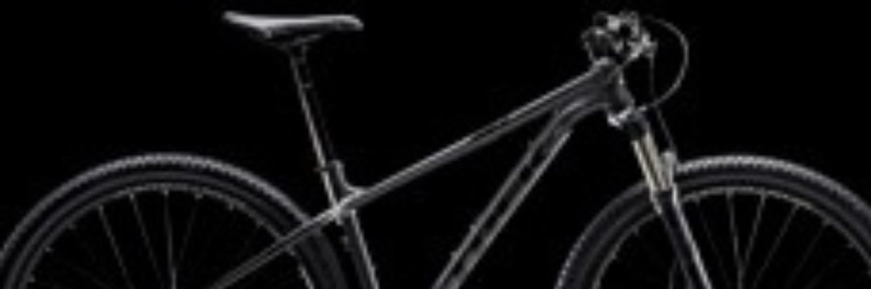 BDY banner