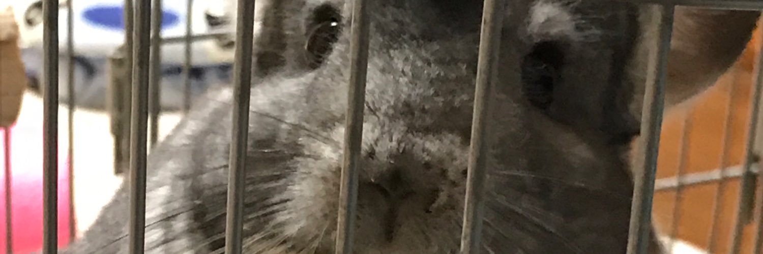 あーりん🛸(💙,🧡) banner