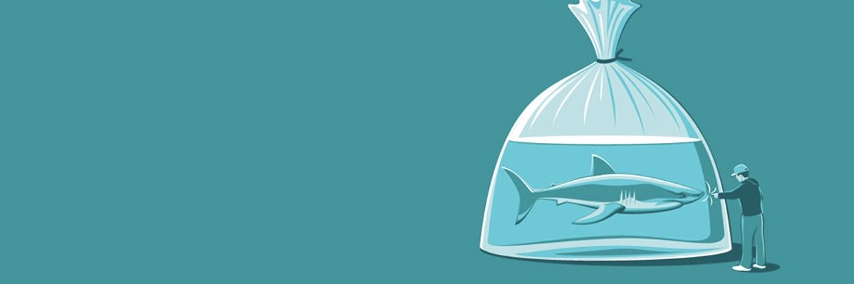 katiesllivan's profile banner image