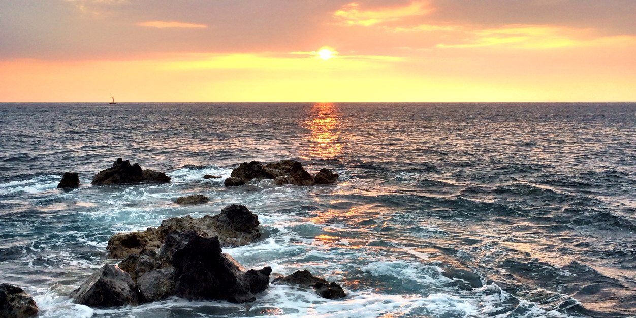 david blomquist banner