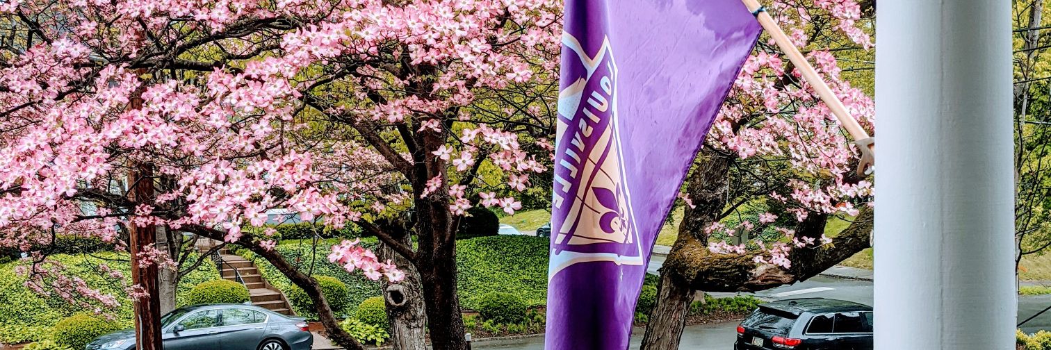 profwells's profile banner image