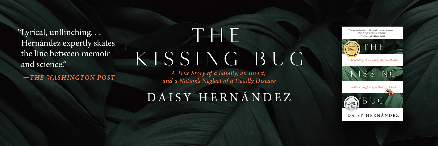 daisy hernandez banner