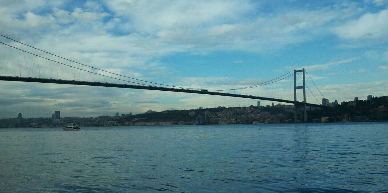 burcuosman's profile banner image