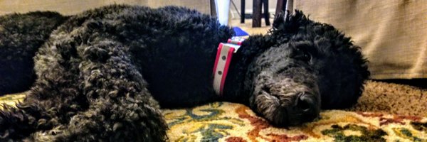 PrivacyCamp Profile Banner