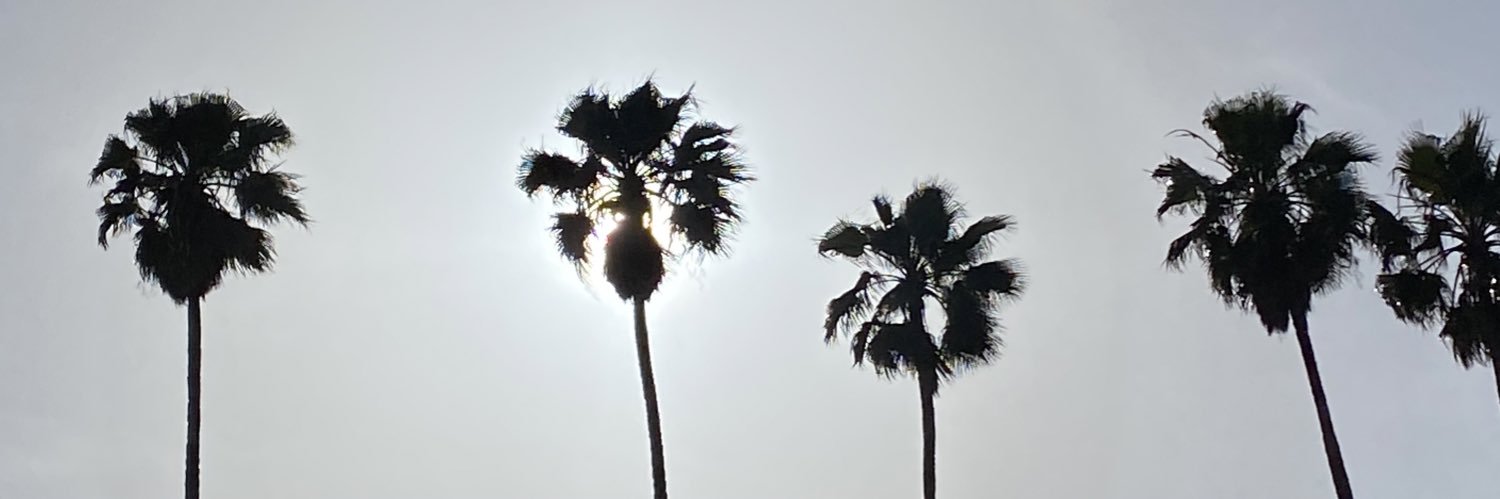 LAGchick's profile banner image