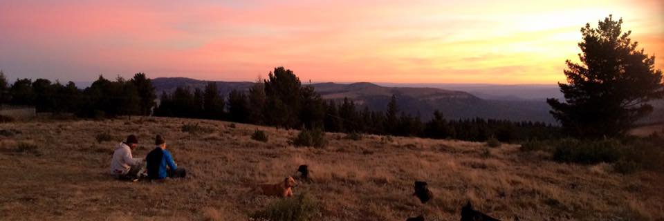 loosbrock_3's profile banner image