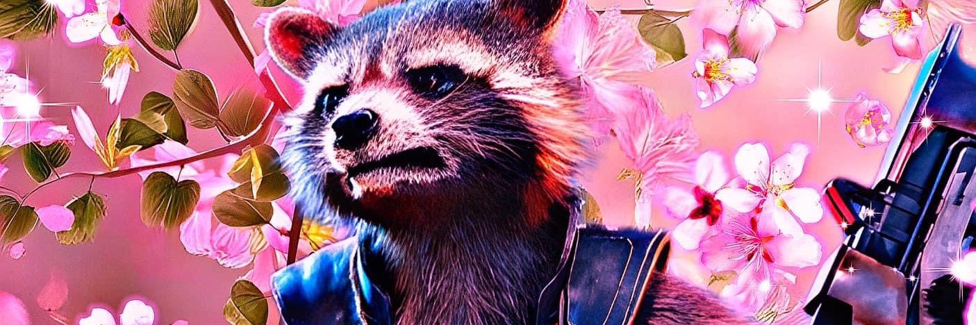 RocketTerrlynn's profile banner image