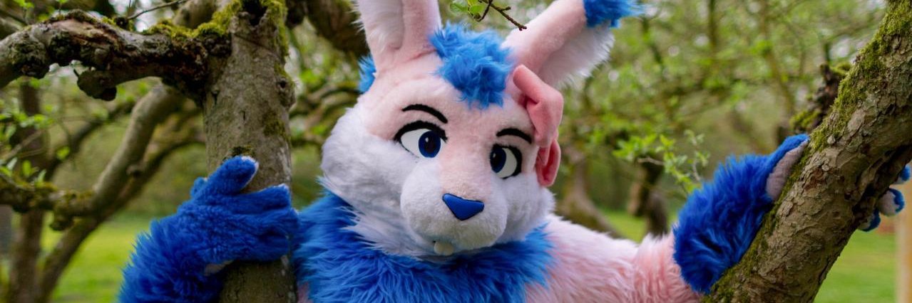 Erin the Bun banner
