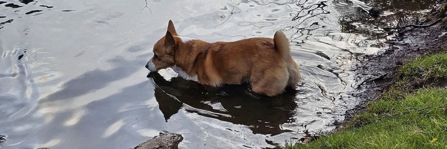 StormSoda4's profile banner image