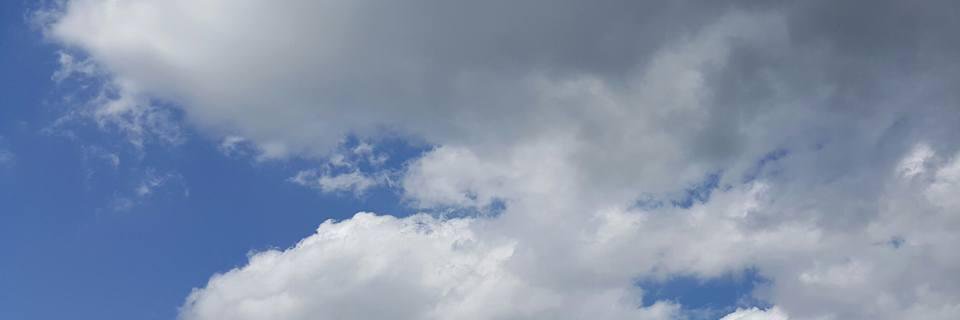 Pamela Poland banner