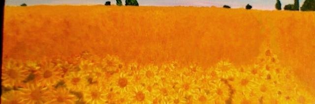 Manepupi's profile banner image