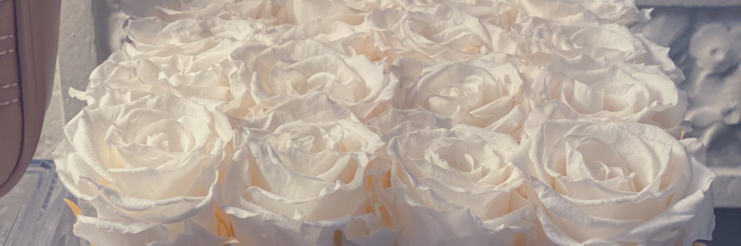 aleerowe's profile banner image
