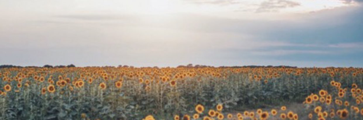 moonmoon11m's profile banner image