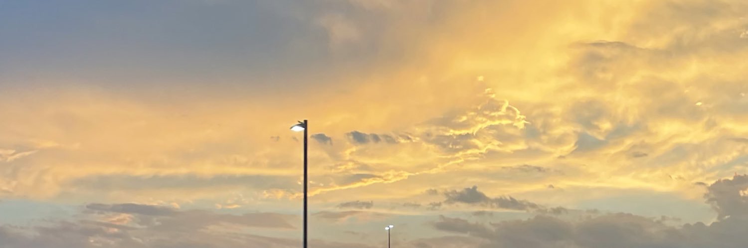 AllisonRMoore's profile banner image