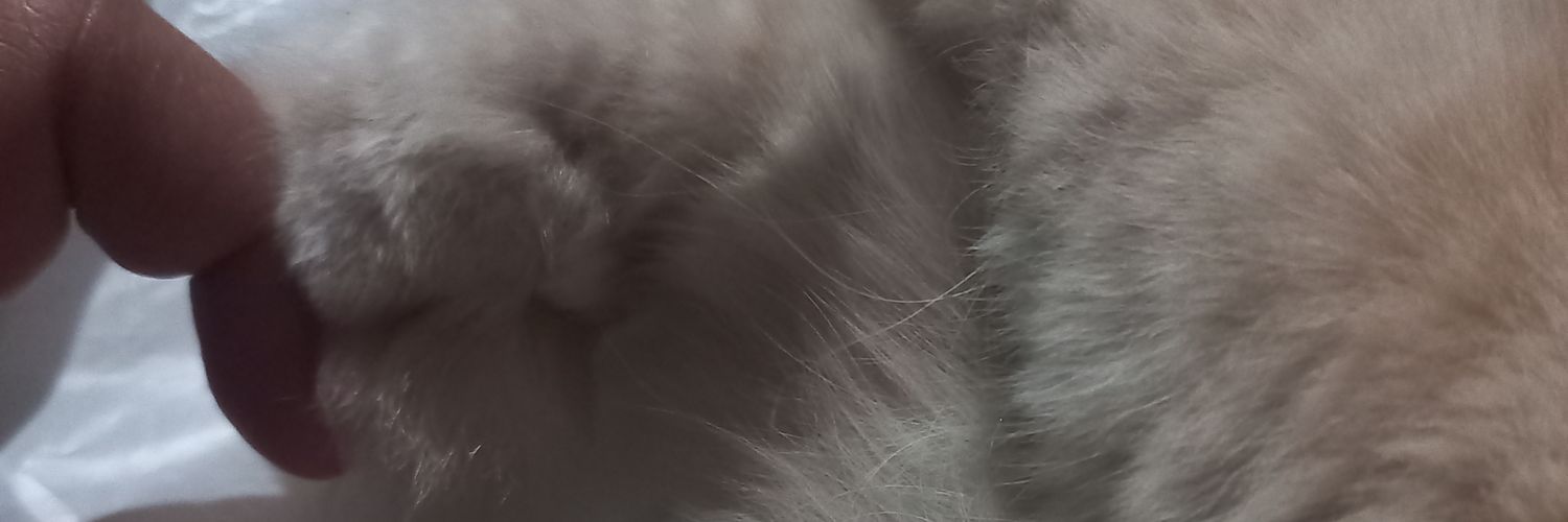 chaengpinkeu's profile banner image