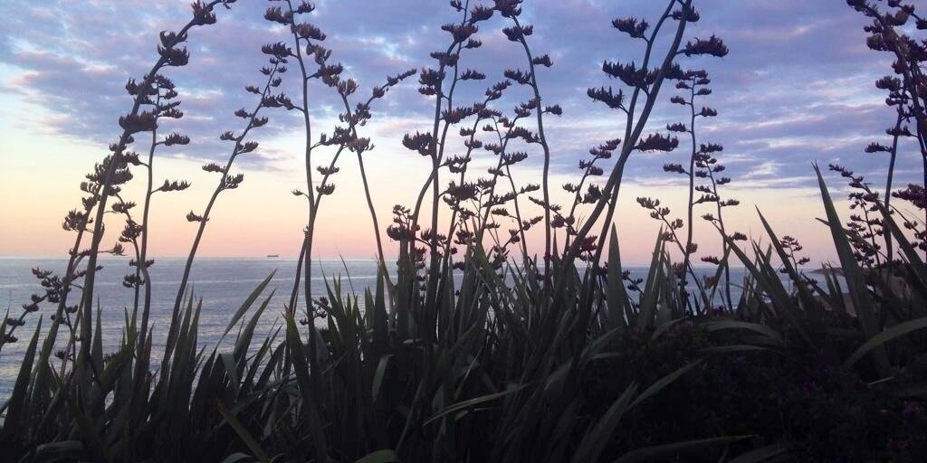 EilishRG's profile banner image