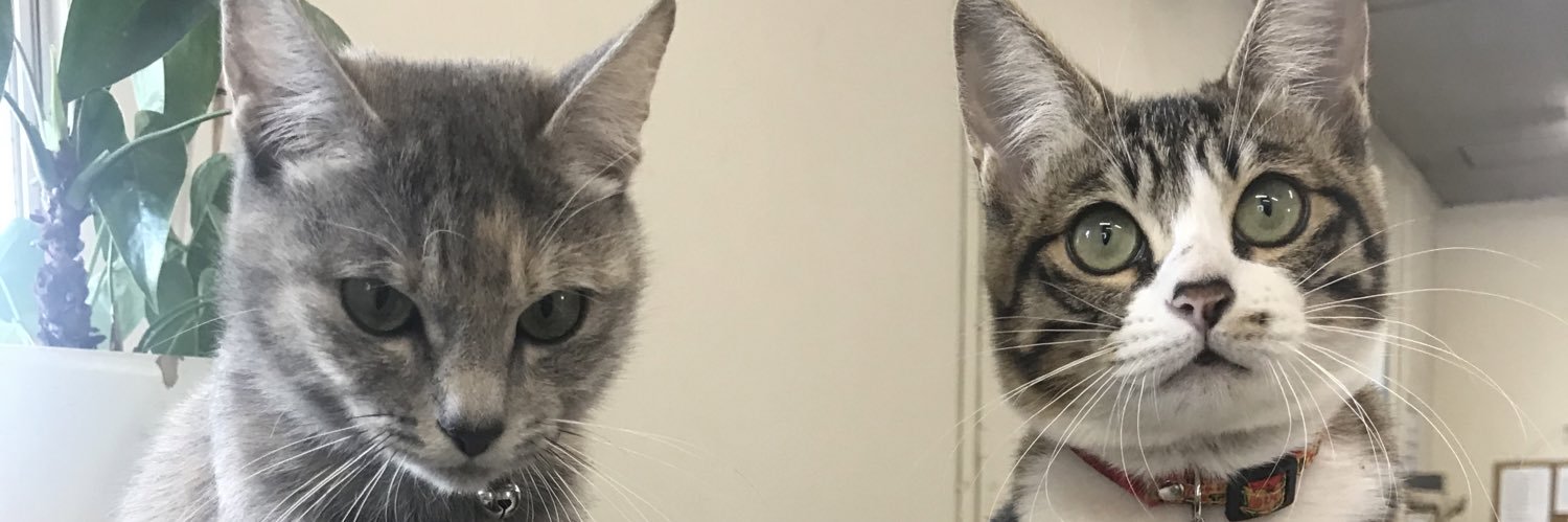 m_set_n's profile banner image