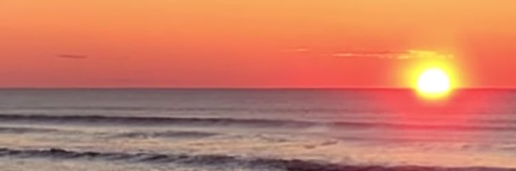 Diane Cavanagh banner