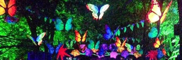 shauntaylor5696's profile banner image