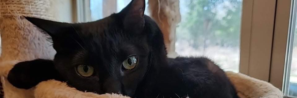 ayebaibailey's profile banner image