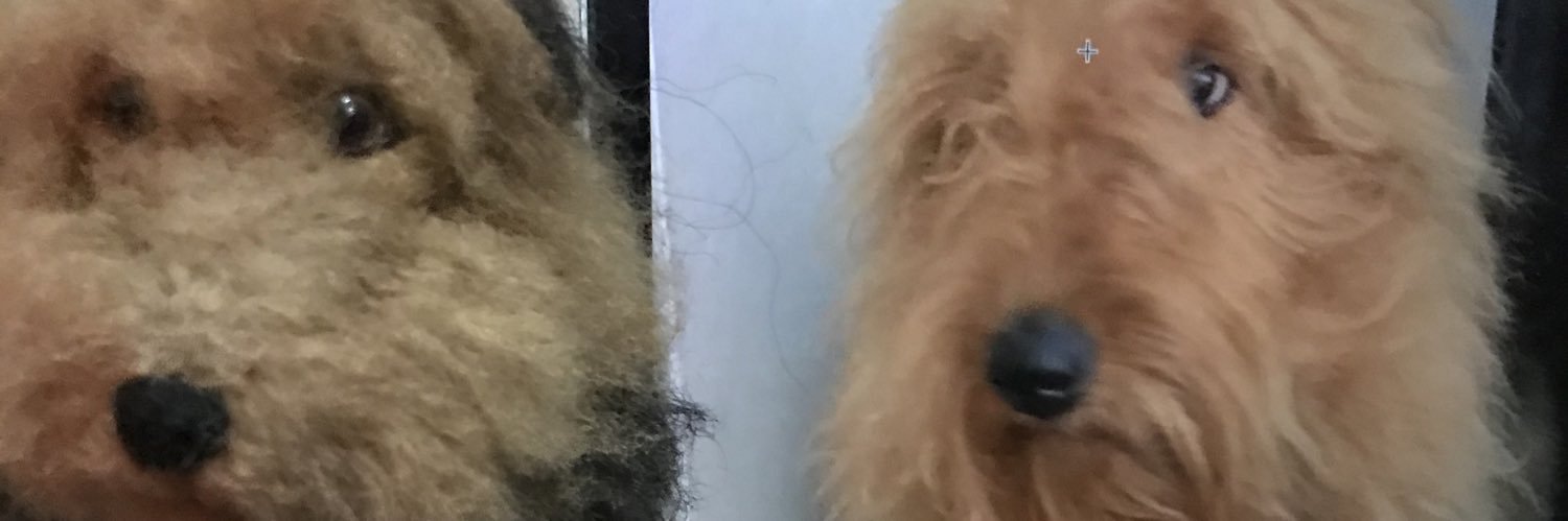 Sandra Burgos banner