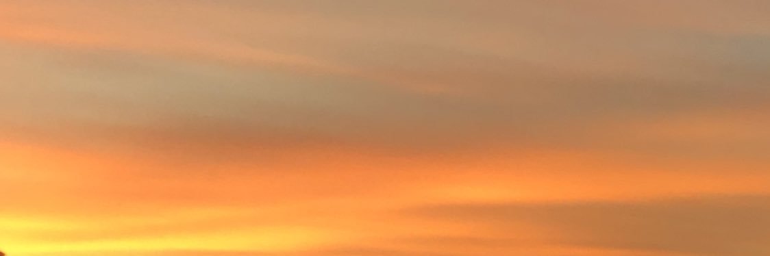 xhnessy's profile banner image
