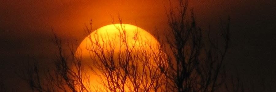 c__mm's profile banner image