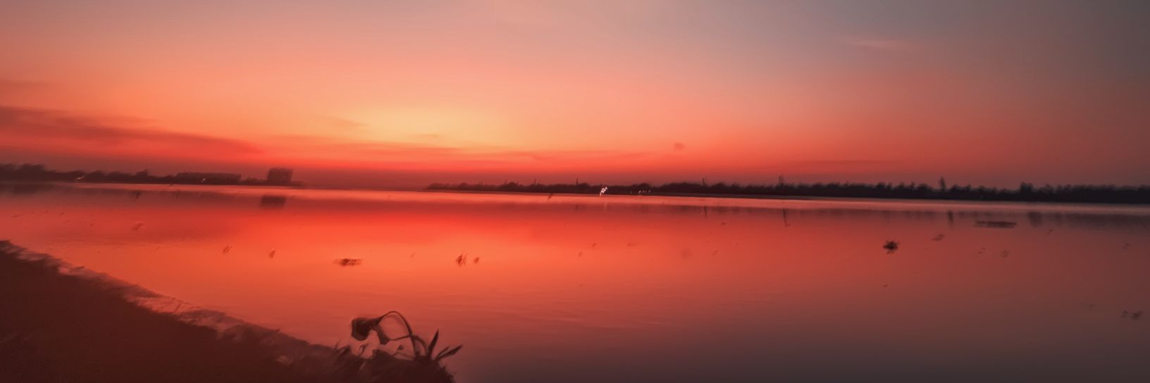 mahfuzmolla's profile banner image