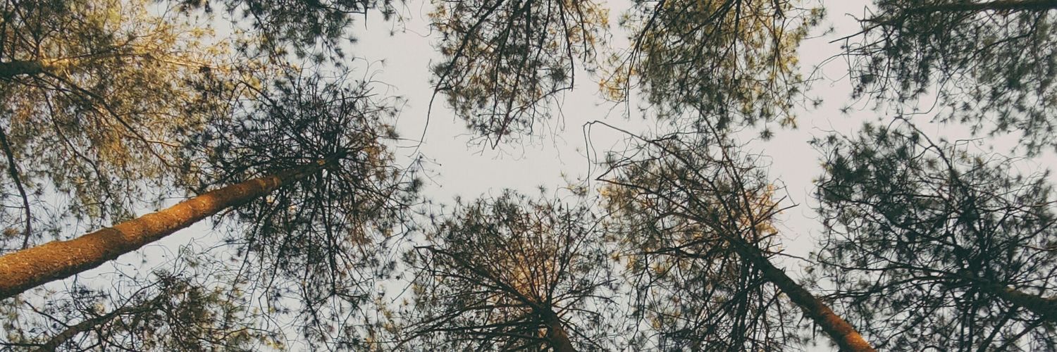 genitrj's profile banner image