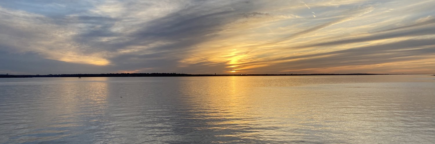 SandiePhan's profile banner image
