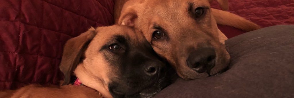 taytayohjay's profile banner image