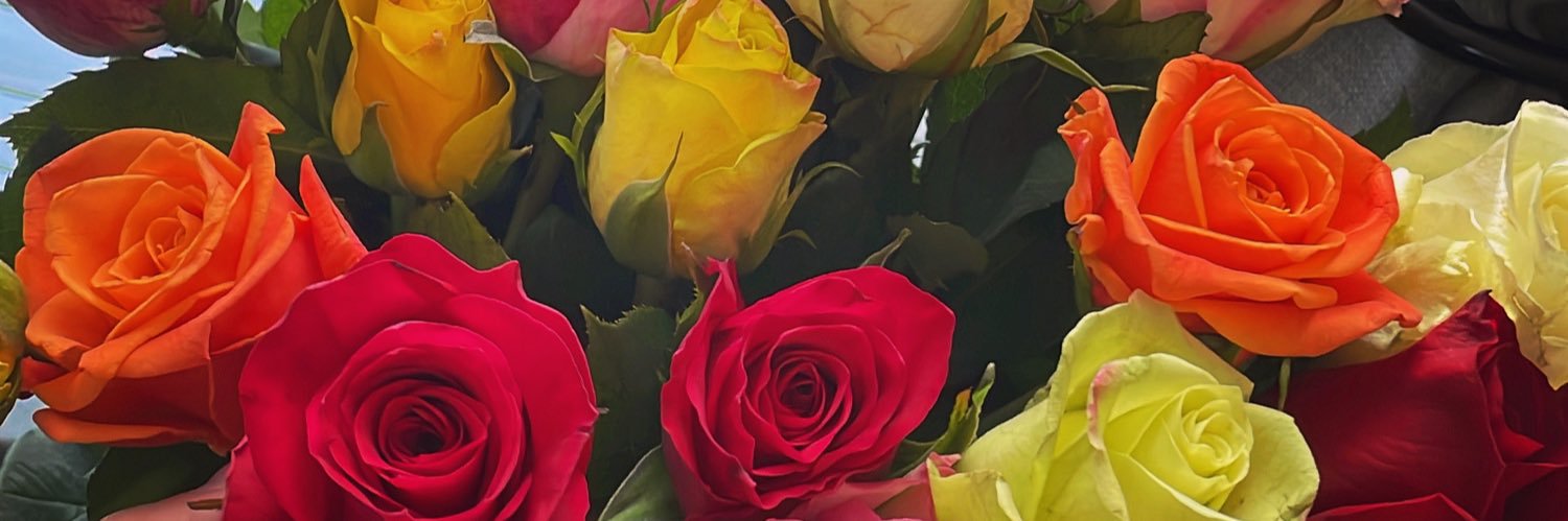 lilvers6ce's profile banner image