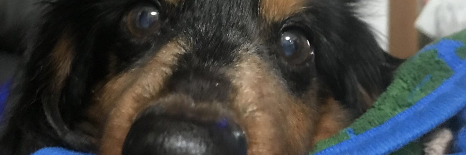 STyapo's profile banner image