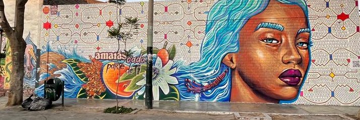 Zulma Roque banner