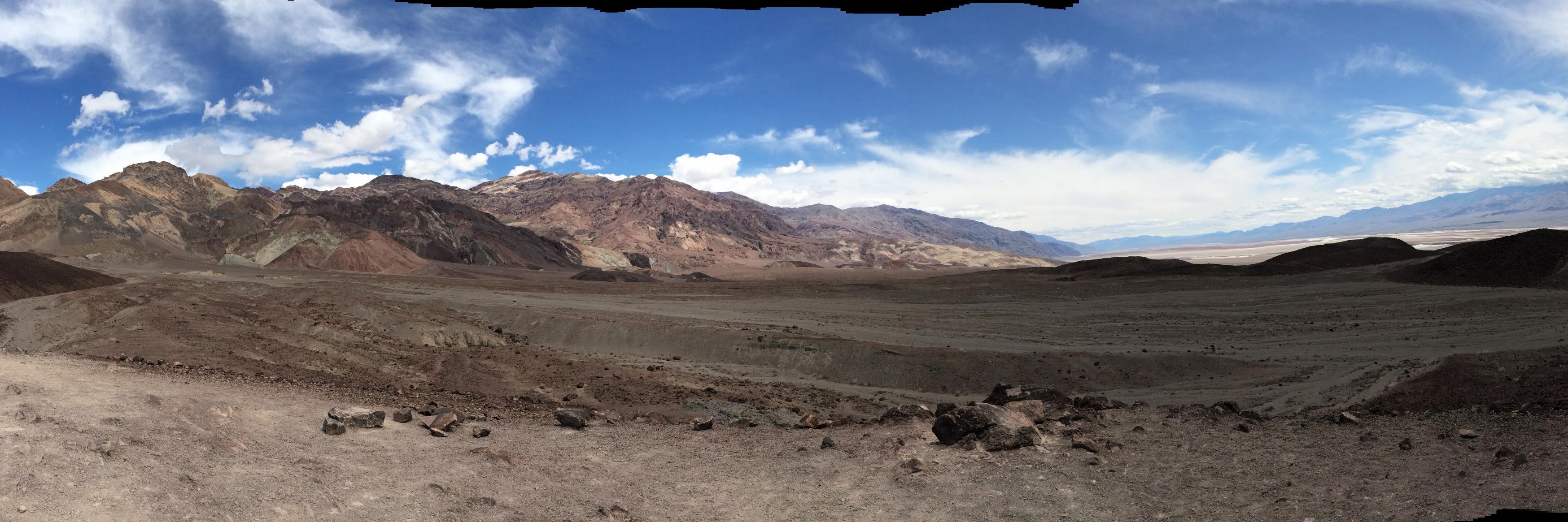 Lori Campbell banner