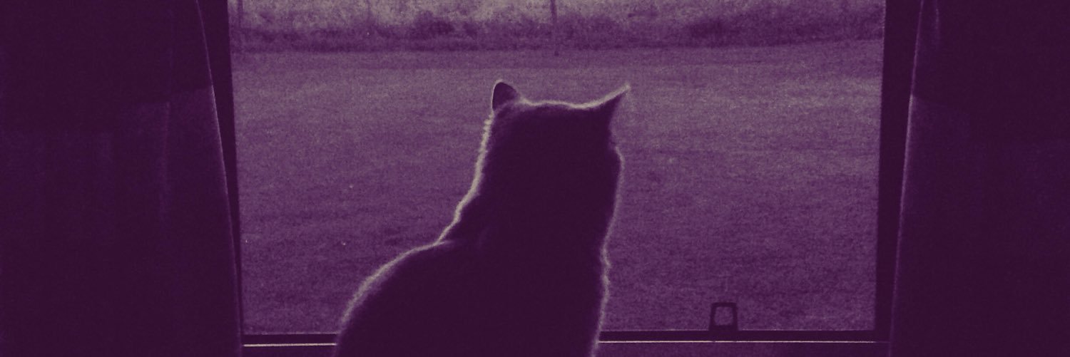 c_n_books's profile banner image