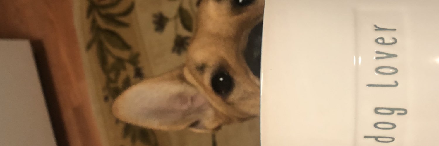 kristasin's profile banner image